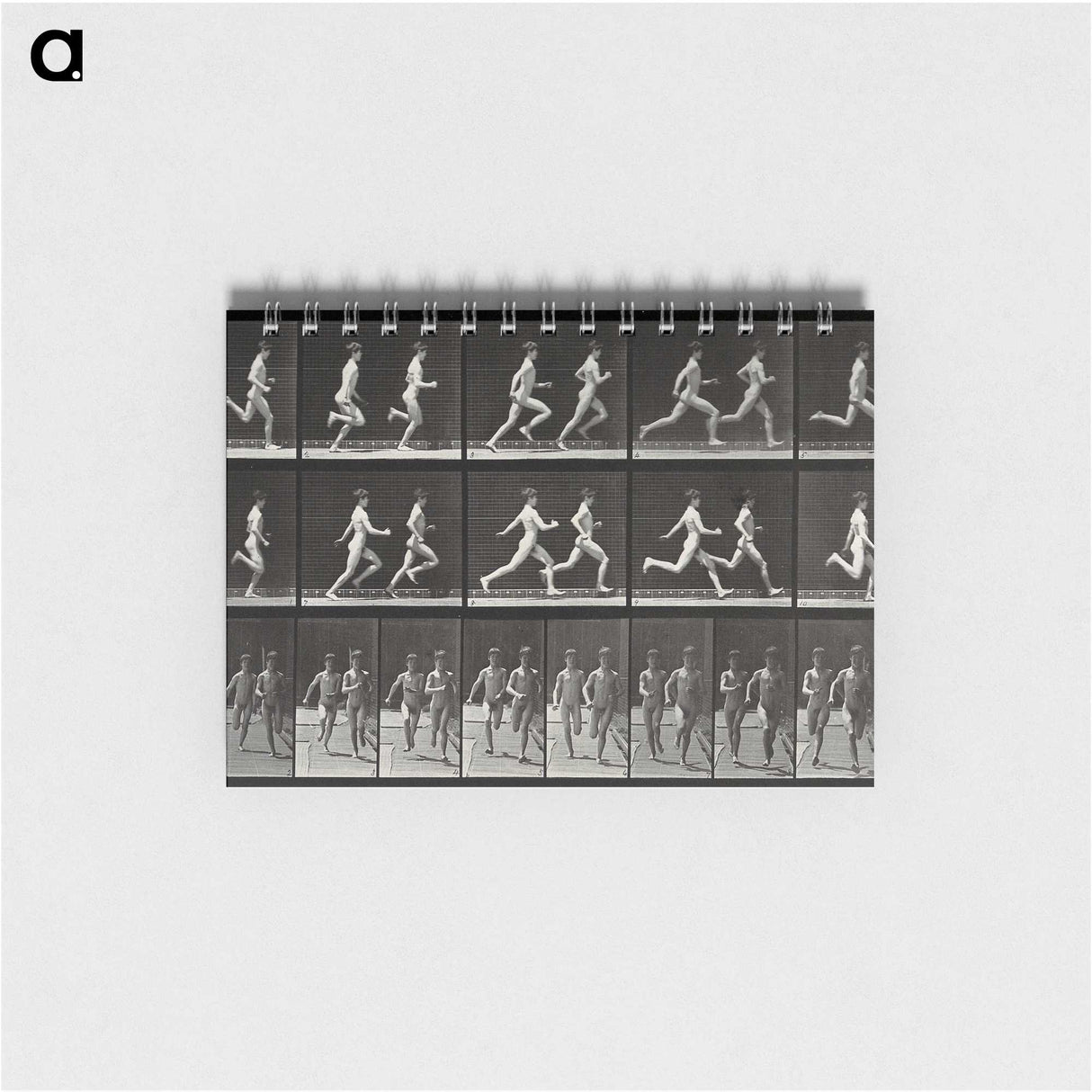 2-60_Eadweard-Muybridge_memo