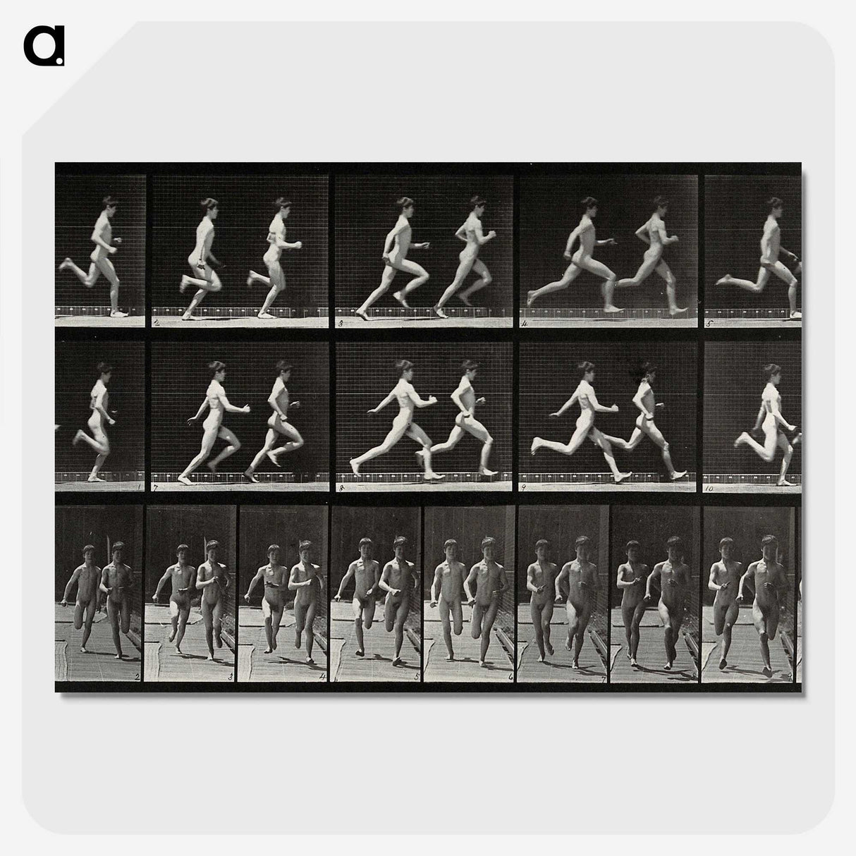 2-60_Eadweard-Muybridge_picture-crop