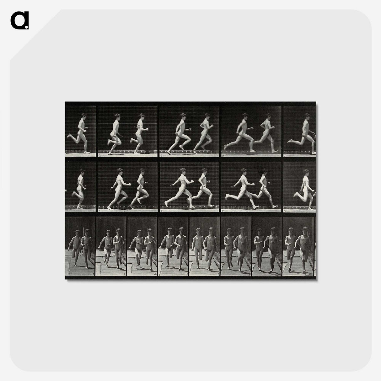 2-60_Eadweard-Muybridge_postcard