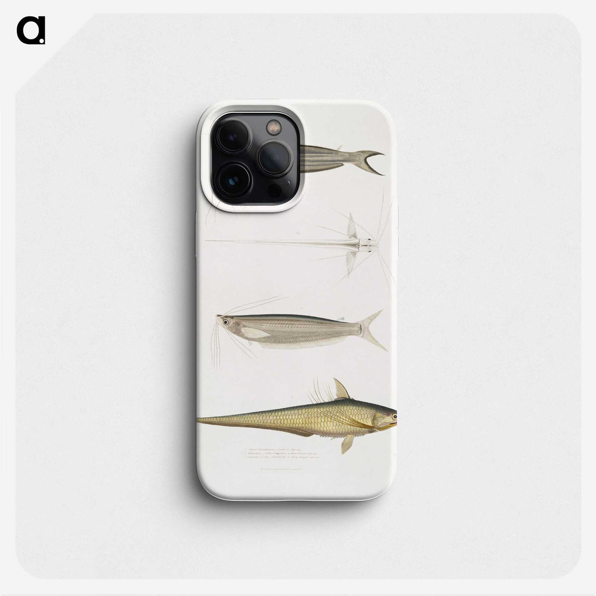 2-60_Indian-Zoology_phone