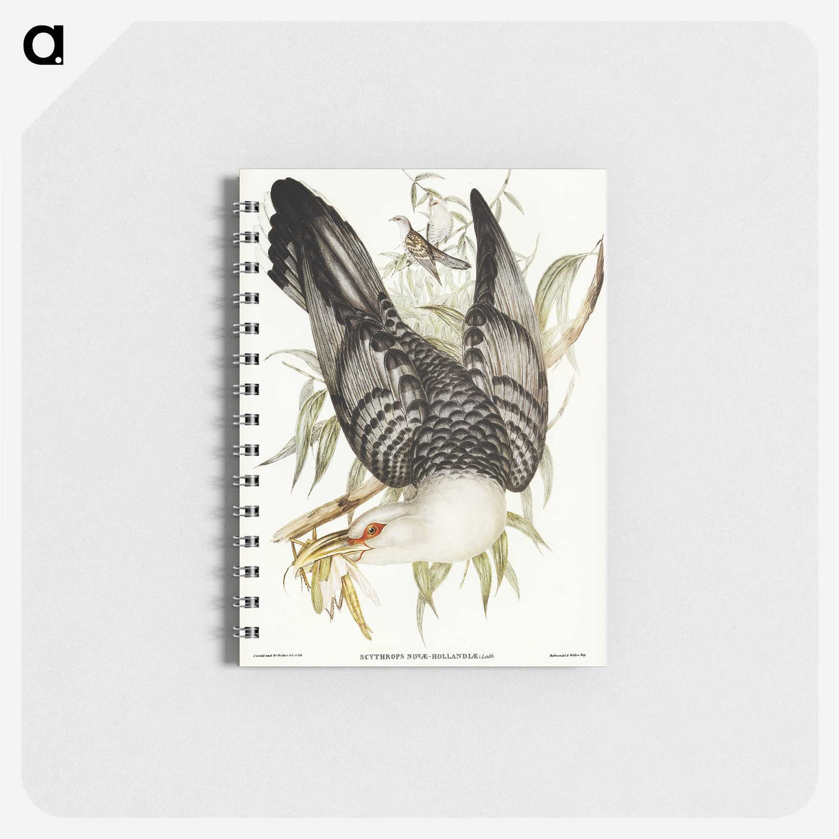 2-60_John-Gould_memo