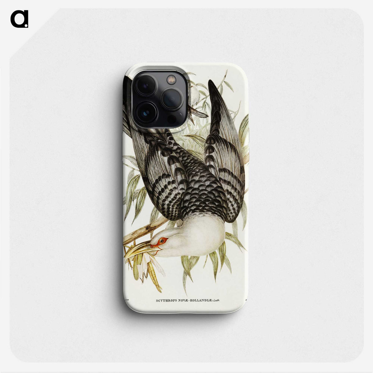 2-60_John-Gould_phone