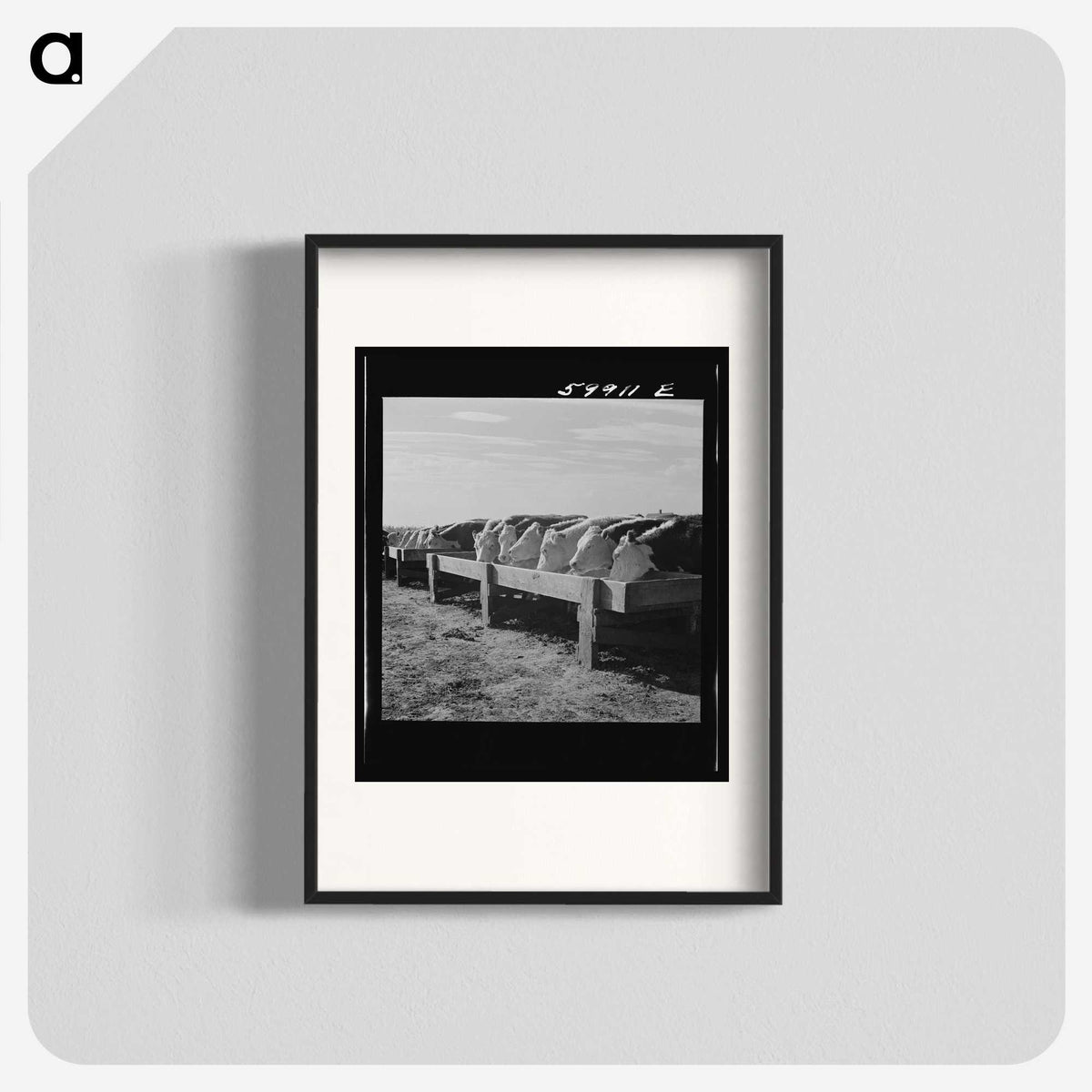 2-60_Marion-Post-Wolcott_blk