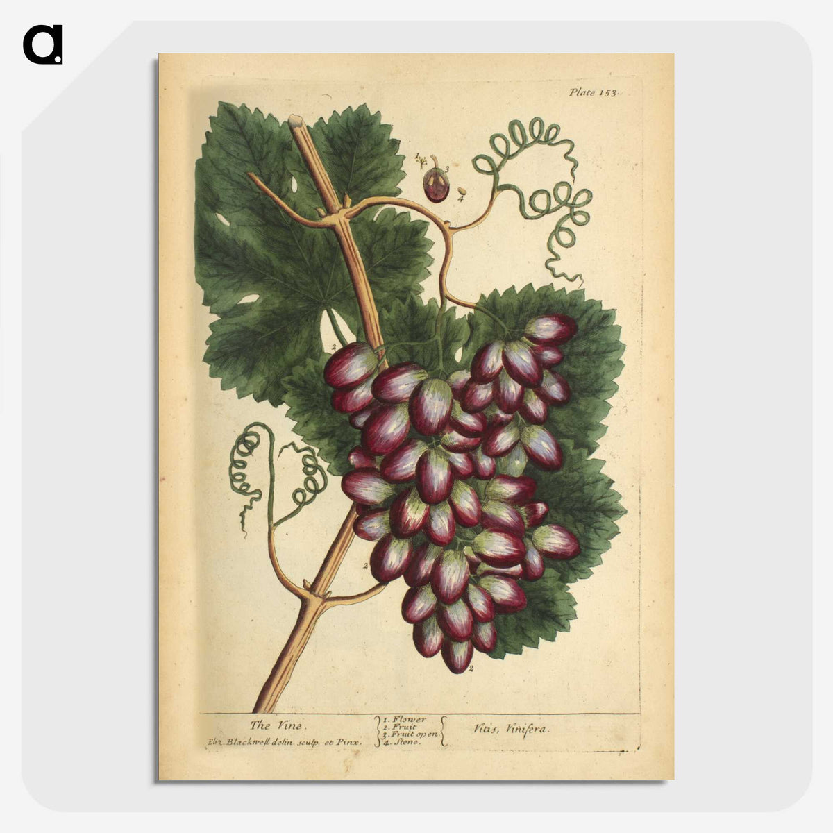 2-60_National-Library-of-Medicine_picture-crop