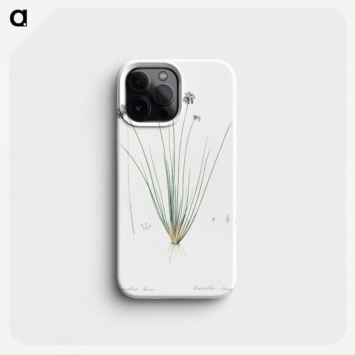 2-60_The-Lilies_phone