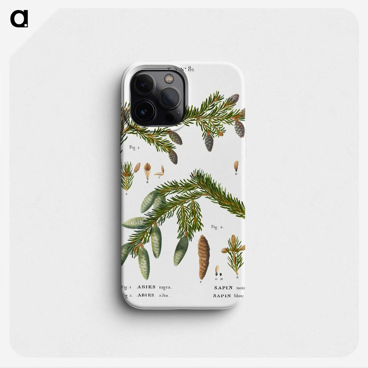 2-60_Treatise-on-Trees-and-Shrubs_phone