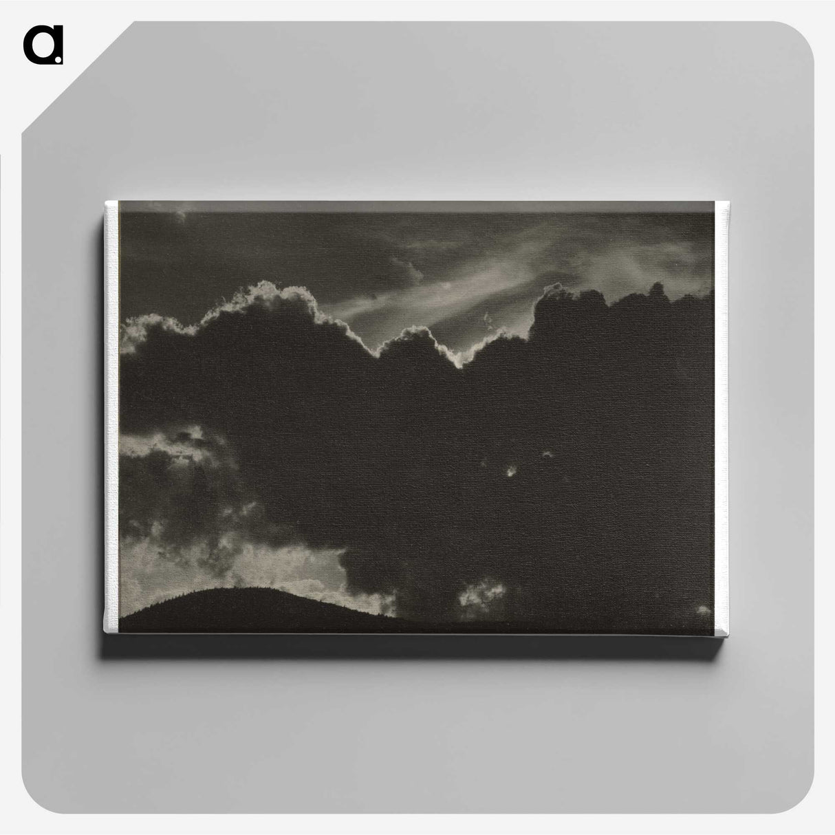 2-61_Alfred-Stieglitz_canvas