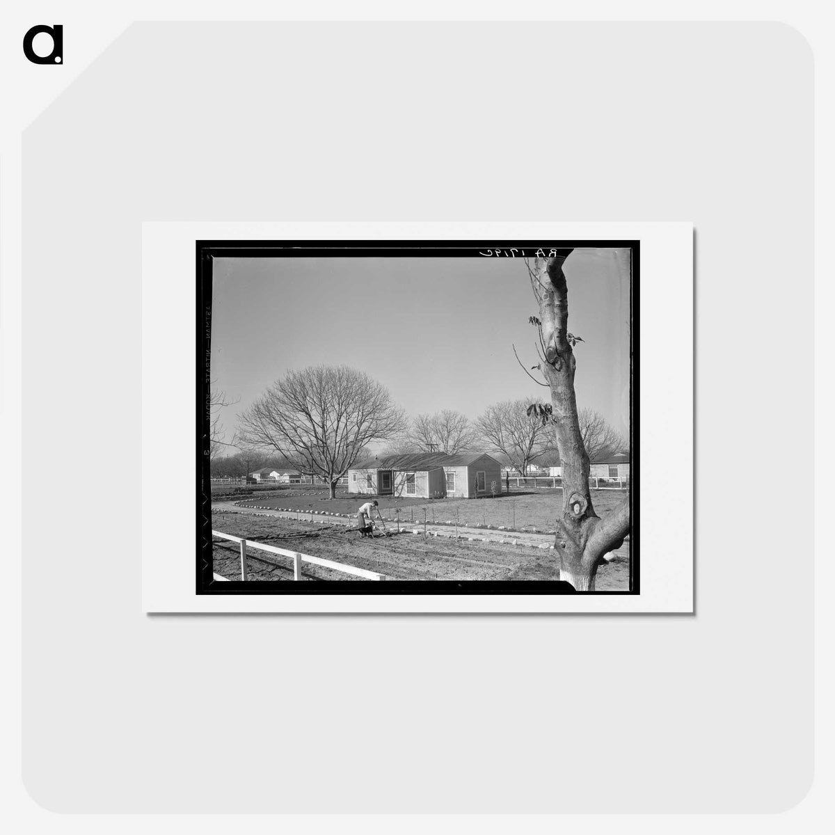 2-61_Dorothea-Lange_hagaki