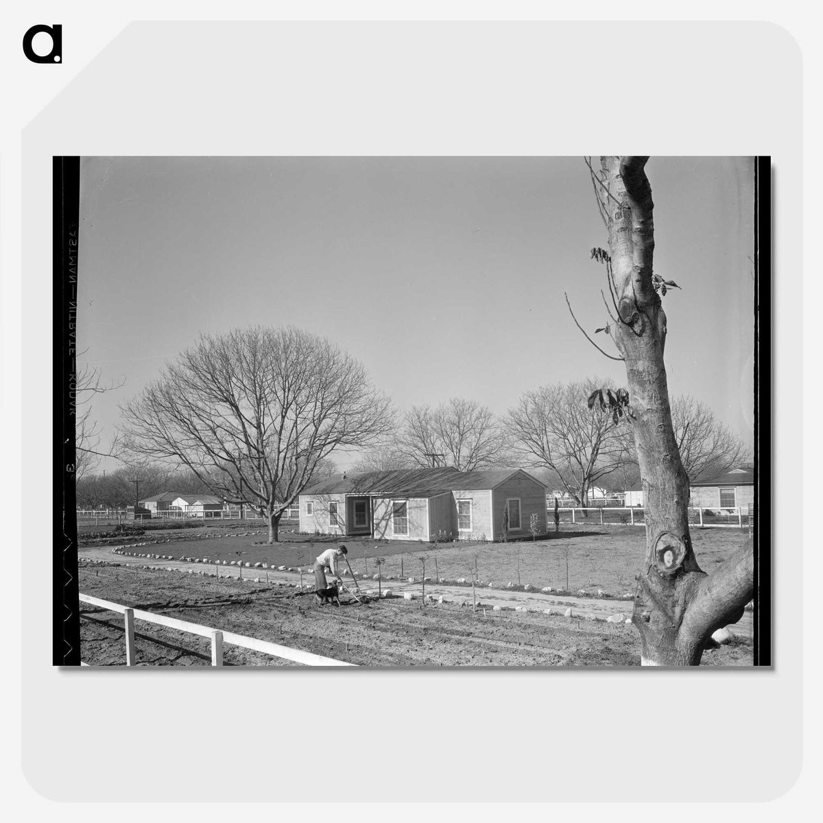 2-61_Dorothea-Lange_picture-crop
