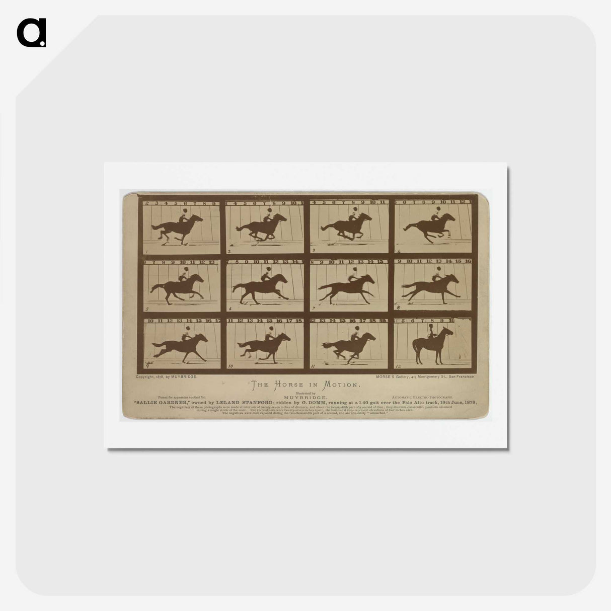 2-61_Eadweard-Muybridge_hagaki