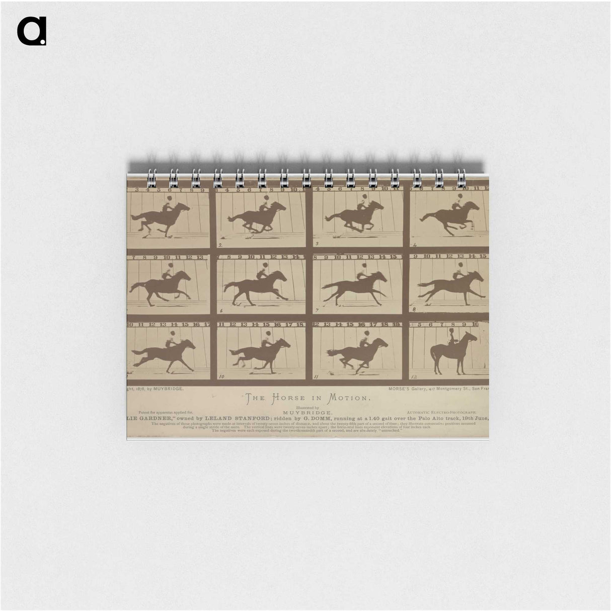 2-61_Eadweard-Muybridge_memo