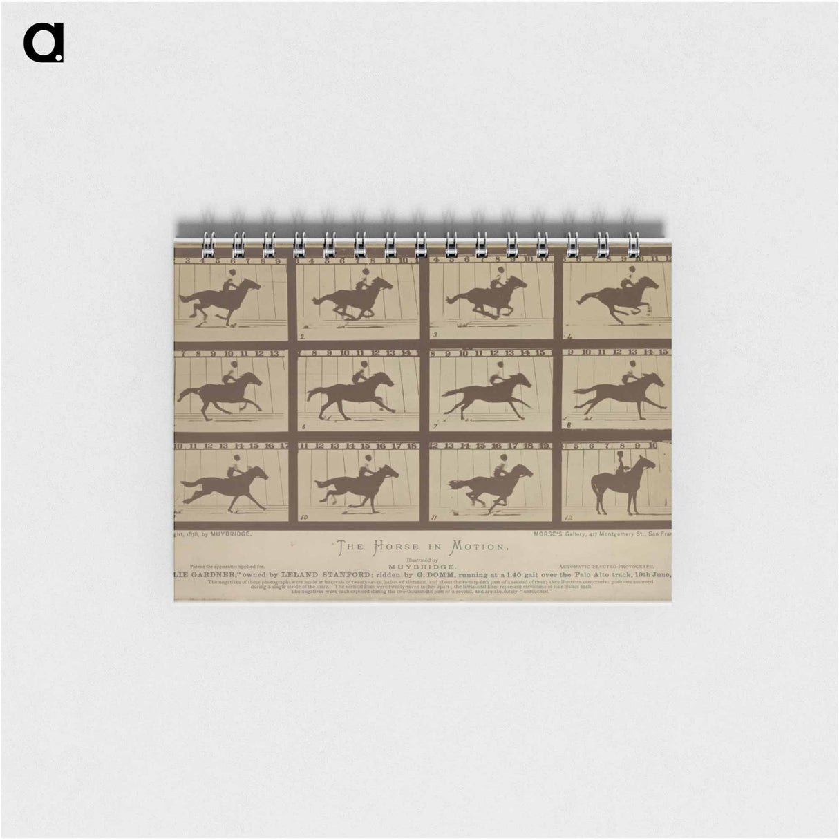 アートメモ帳-The Horse in Motion
- エドワード マイブリッジ Memo.