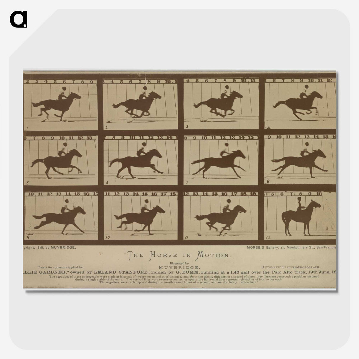 2-61_Eadweard-Muybridge_picture-crop