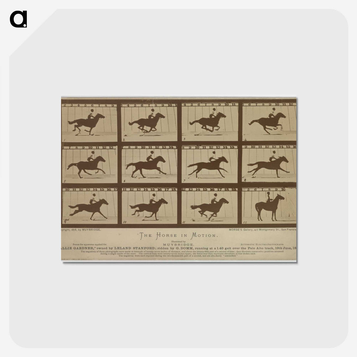 2-61_Eadweard-Muybridge_postcard