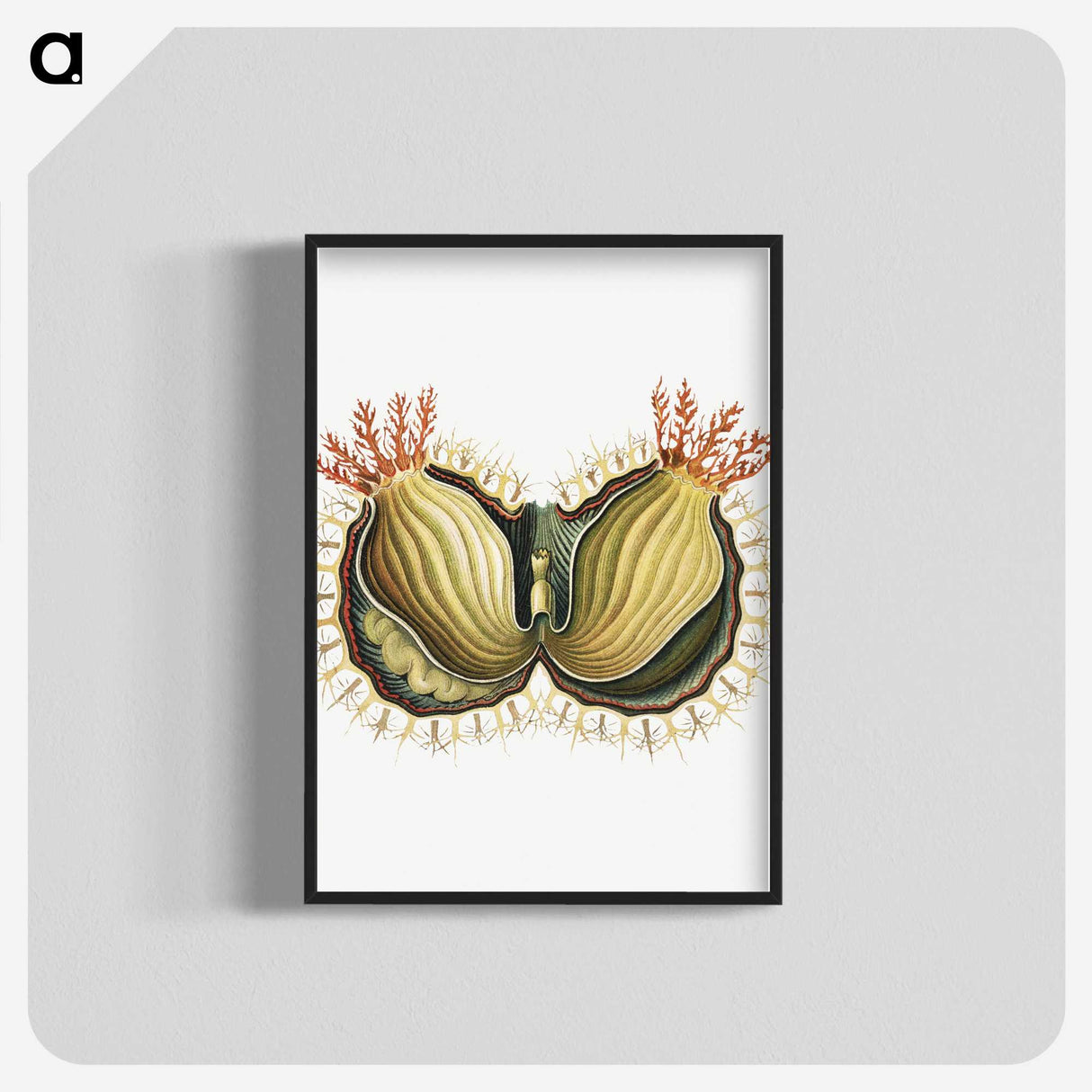 2-61_Ernst-Haeckel_blk-crop
