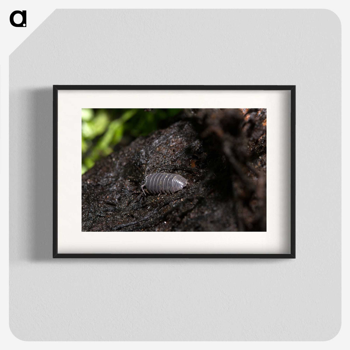 2-61_Insects-Unlocked-Project_blk