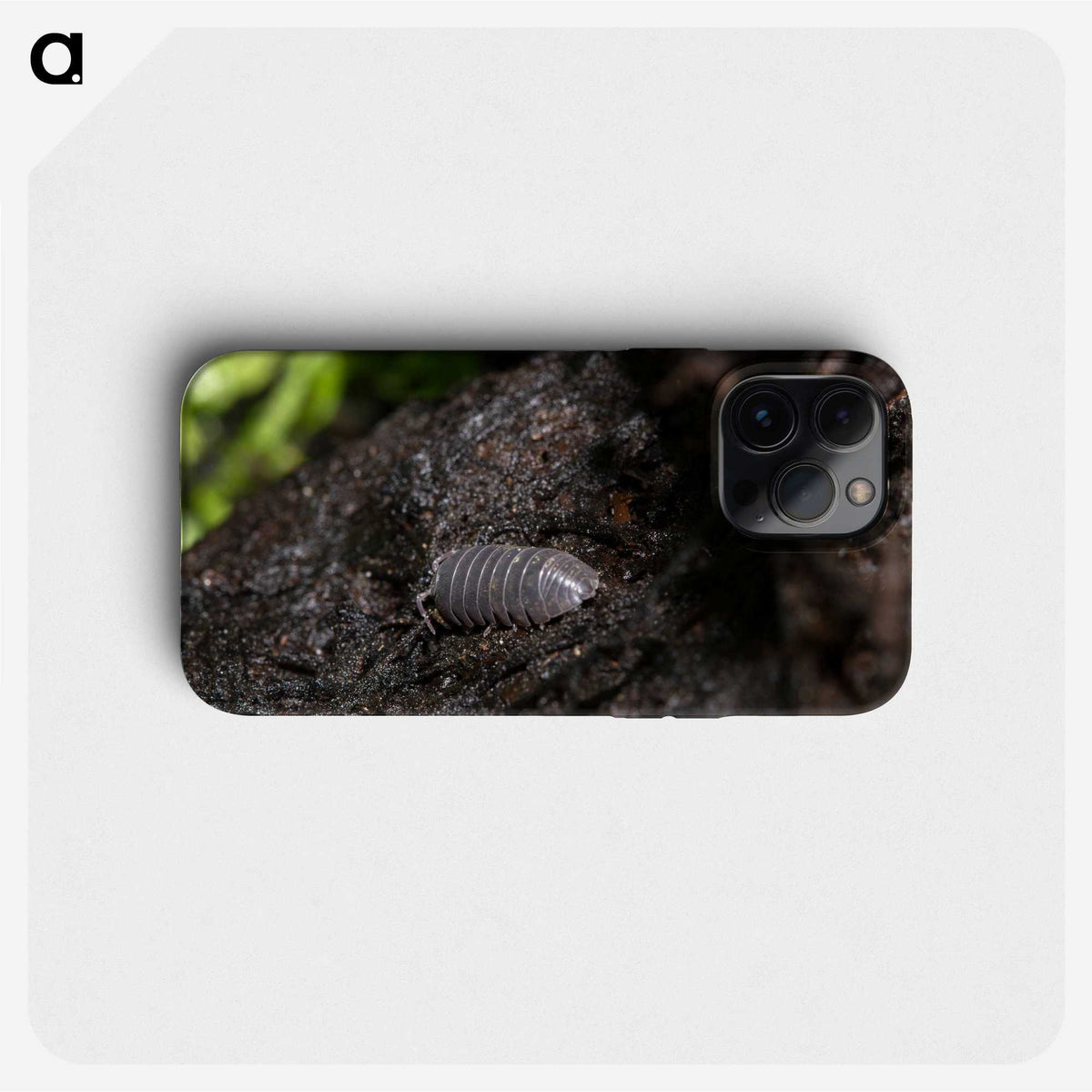 2-61_Insects-Unlocked-Project_phone