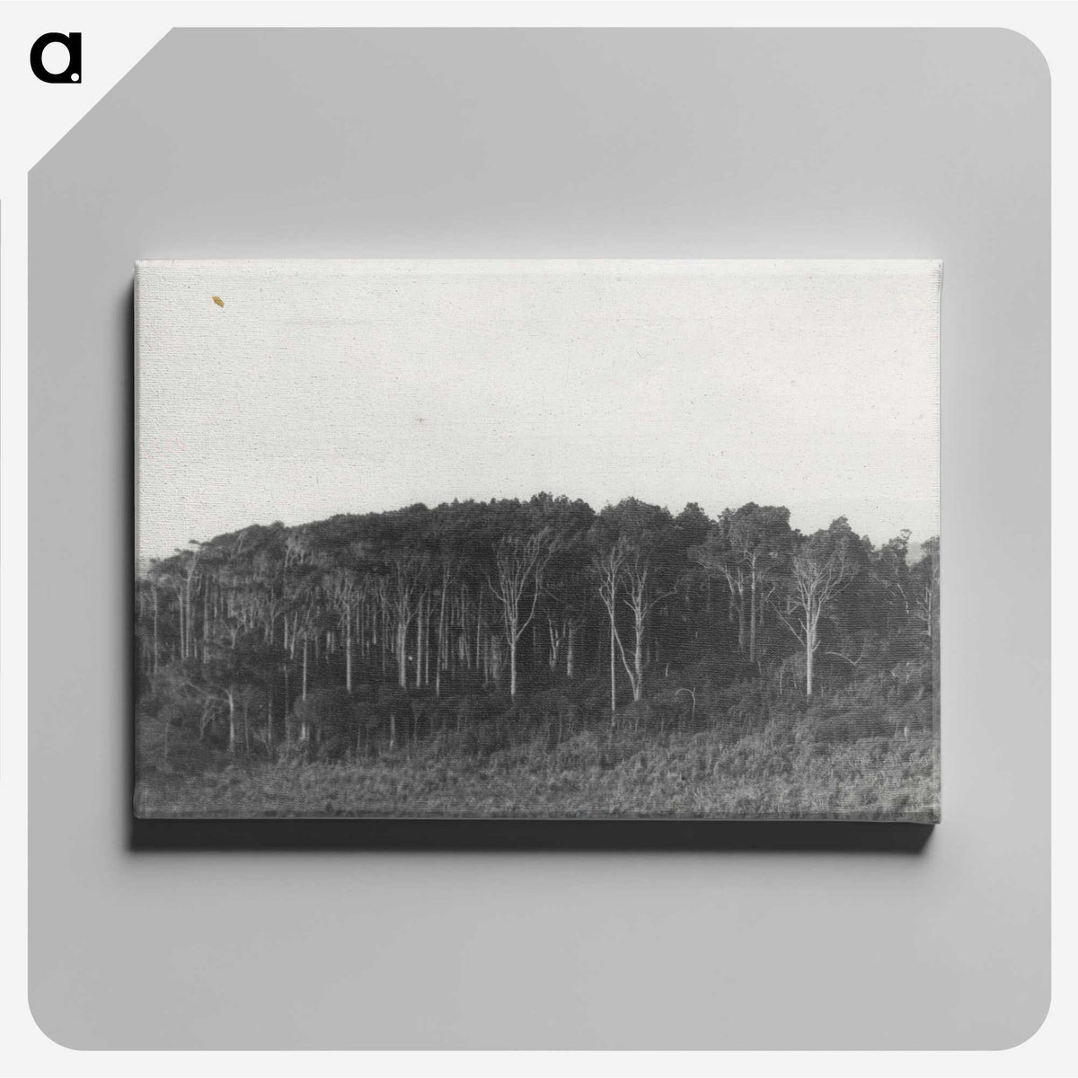 2-61_Leslie-Adkin_canvas
