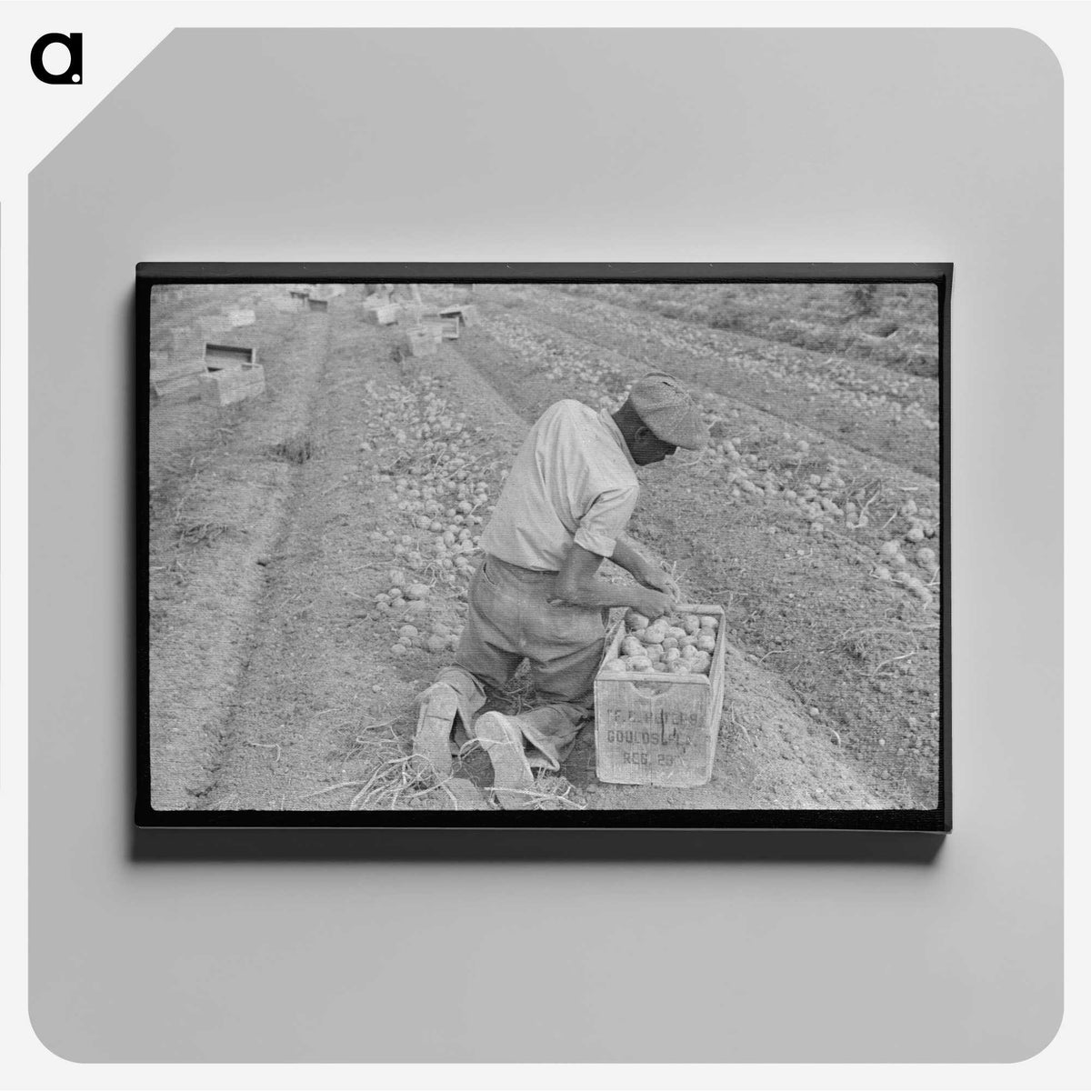 2-61_Marion-Post-Wolcott_canvas