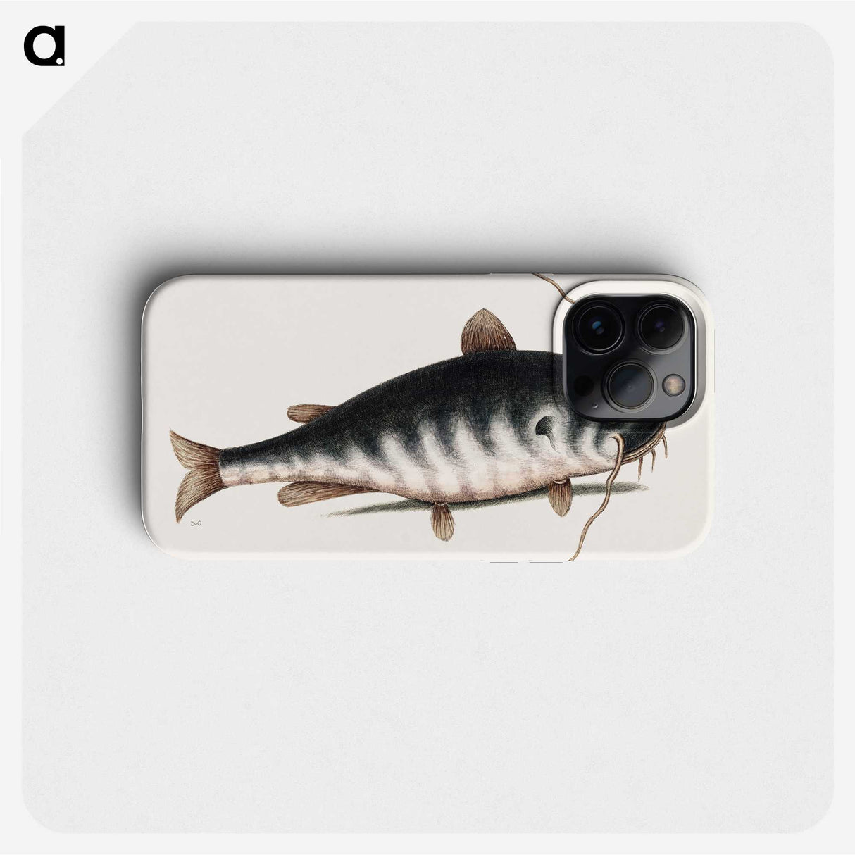 2-61_Mark-Catesby_phone