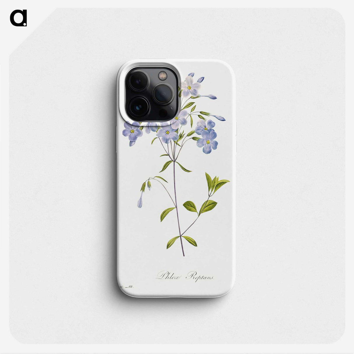 2-61_Pierre-Joseph-Redoute_phone