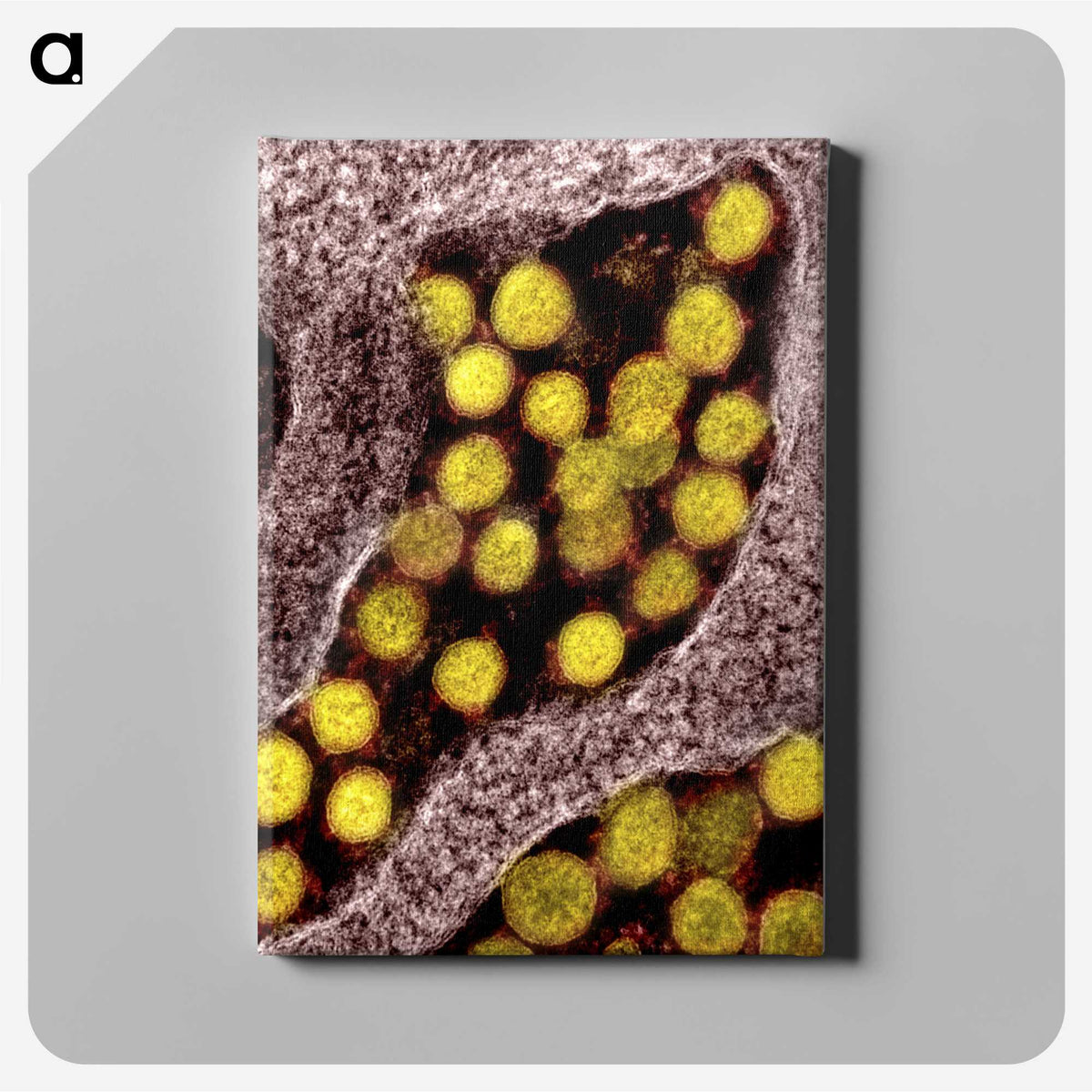 2-62_COVID-19_canvas