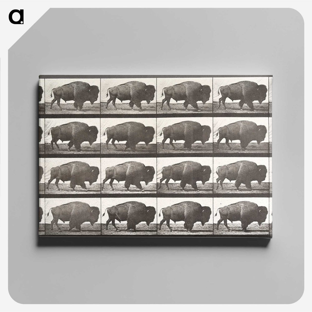 2-62_Eadweard-Muybridge_canvas