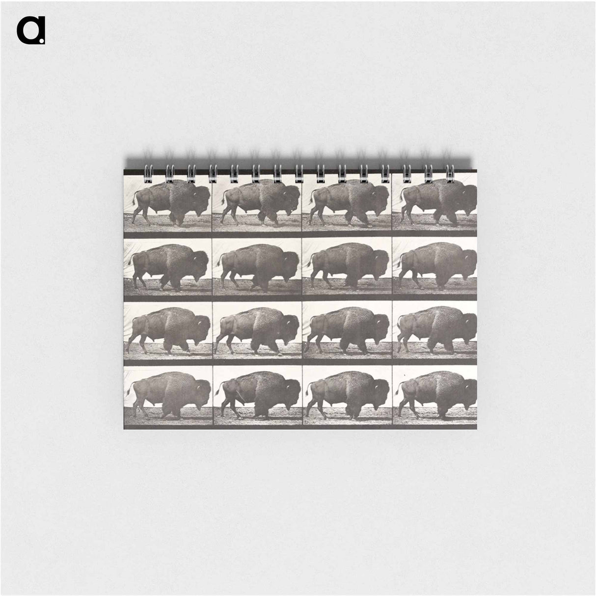 アートメモ帳-Animal Locomotion Plate 699
- エドワード マイブリッジ Memo.