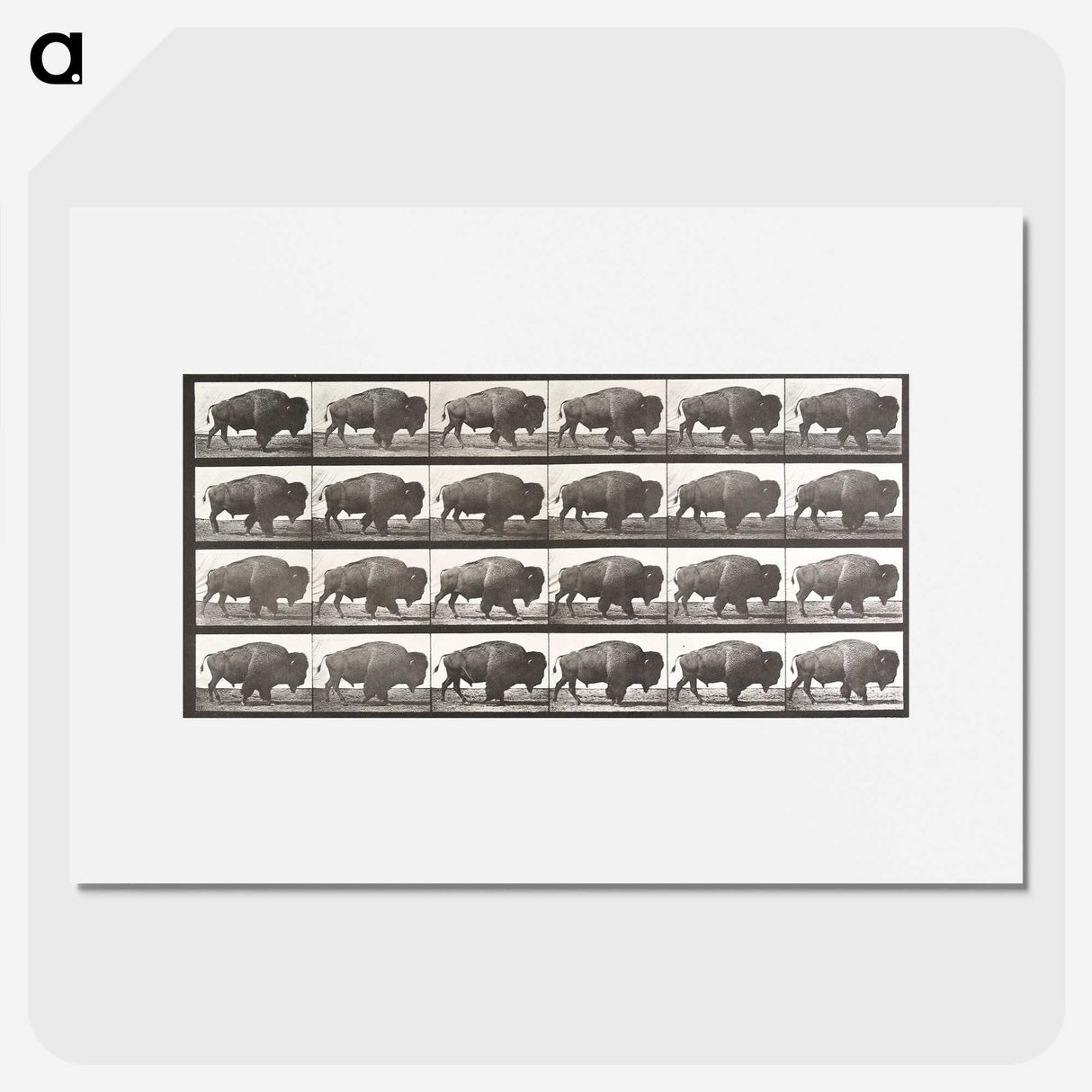 2-62_Eadweard-Muybridge_picture