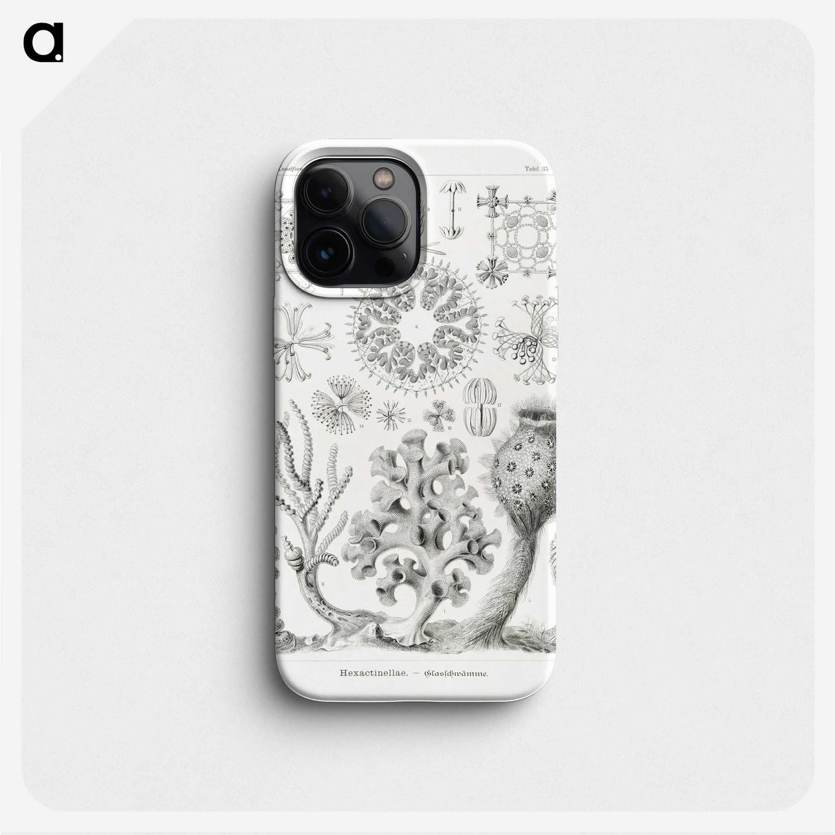 2-62_Ernst-Haeckel_phone