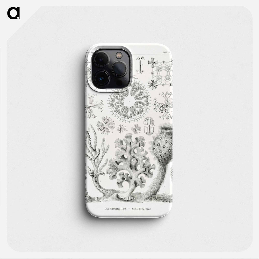 Hexactinellae–Glasschwämme - エルンスト ヘッケル Phone Case.