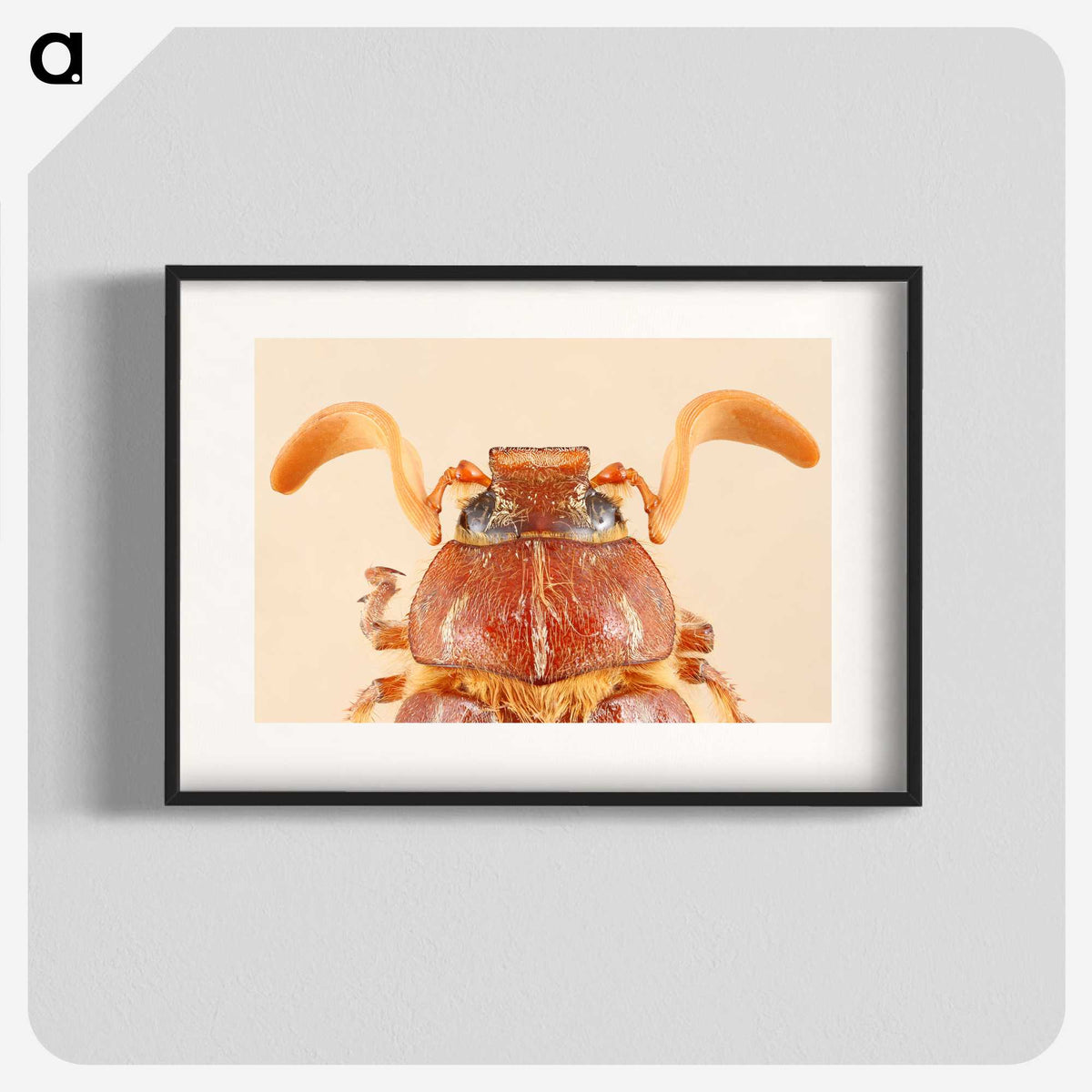 2-62_Insects-Unlocked-Project_blk
