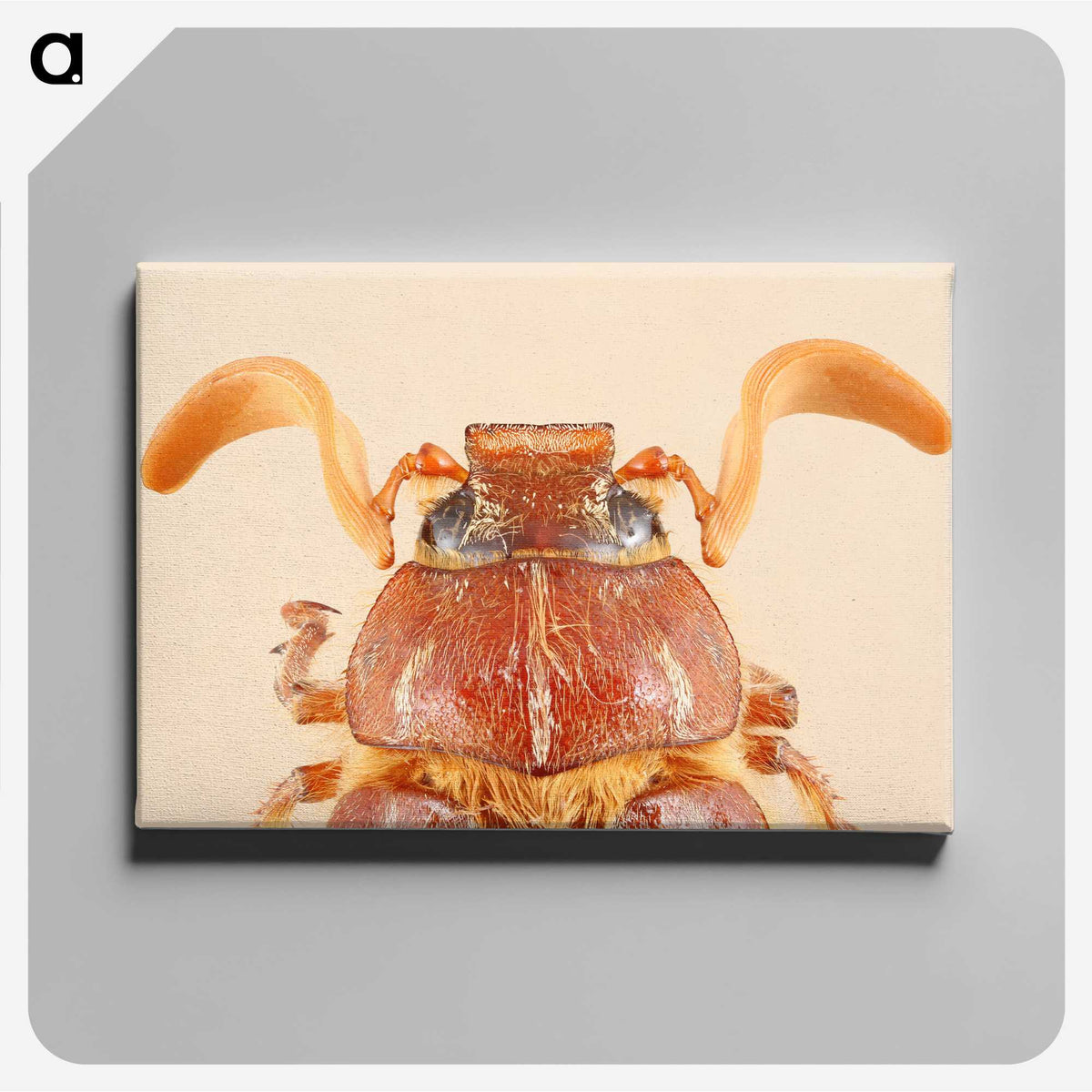 2-62_Insects-Unlocked-Project_canvas