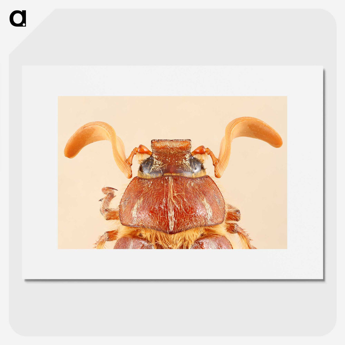 2-62_Insects-Unlocked-Project_picture