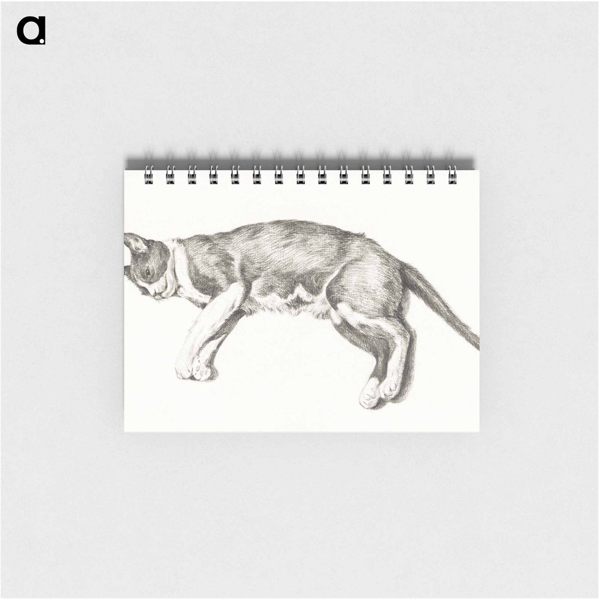 Sketch of a lying cat - ジャン ベルナール Memo.