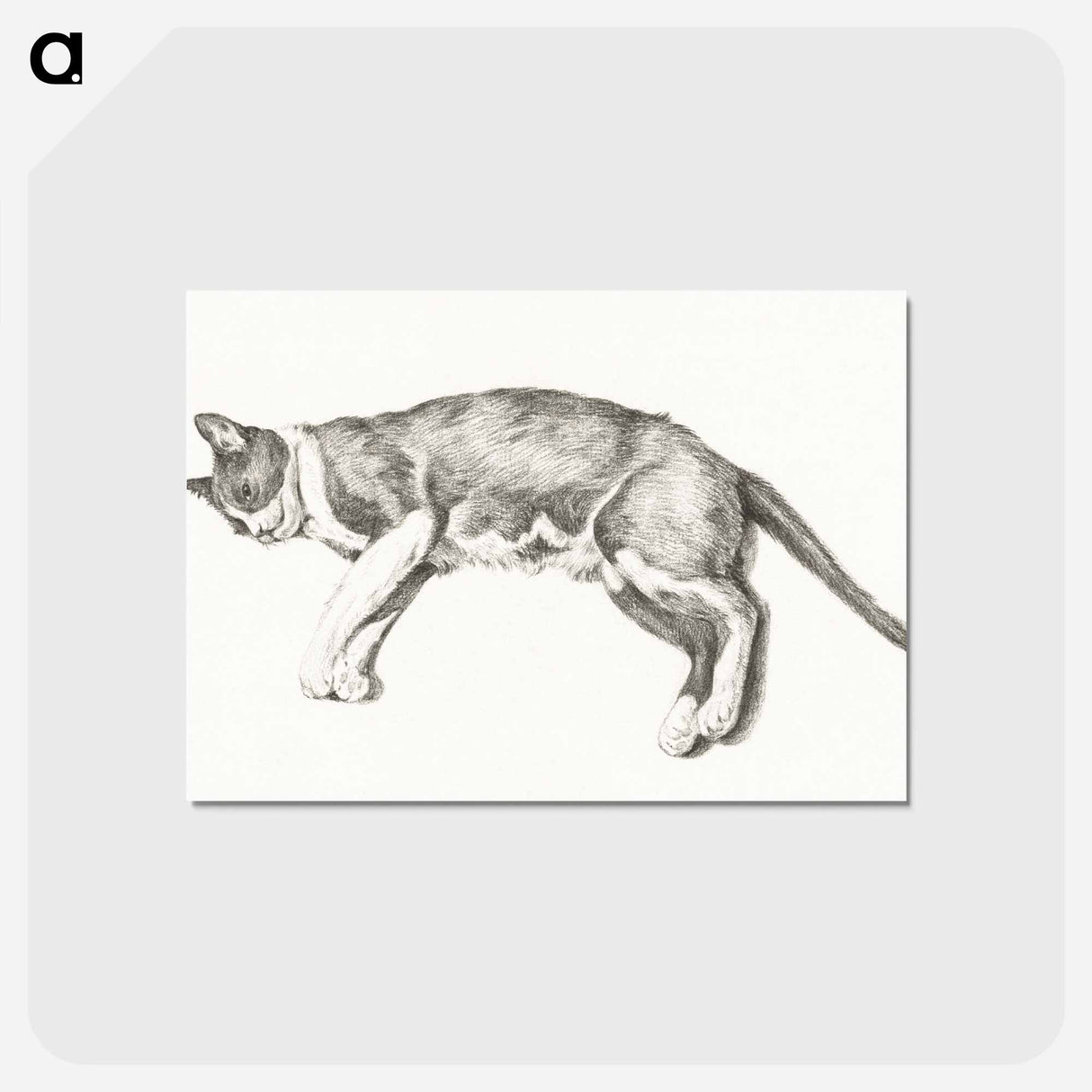 アートポストカード-Sketch of a lying cat - ジャン ベルナール Postcard.