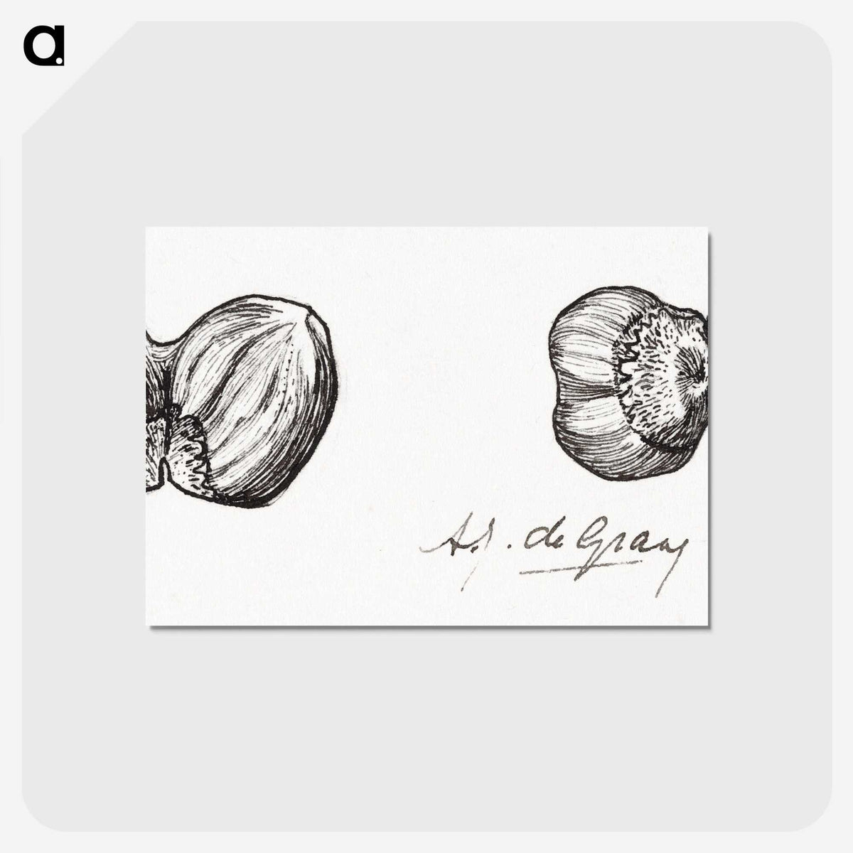 2-62_Julie-de-Graag_postcard
