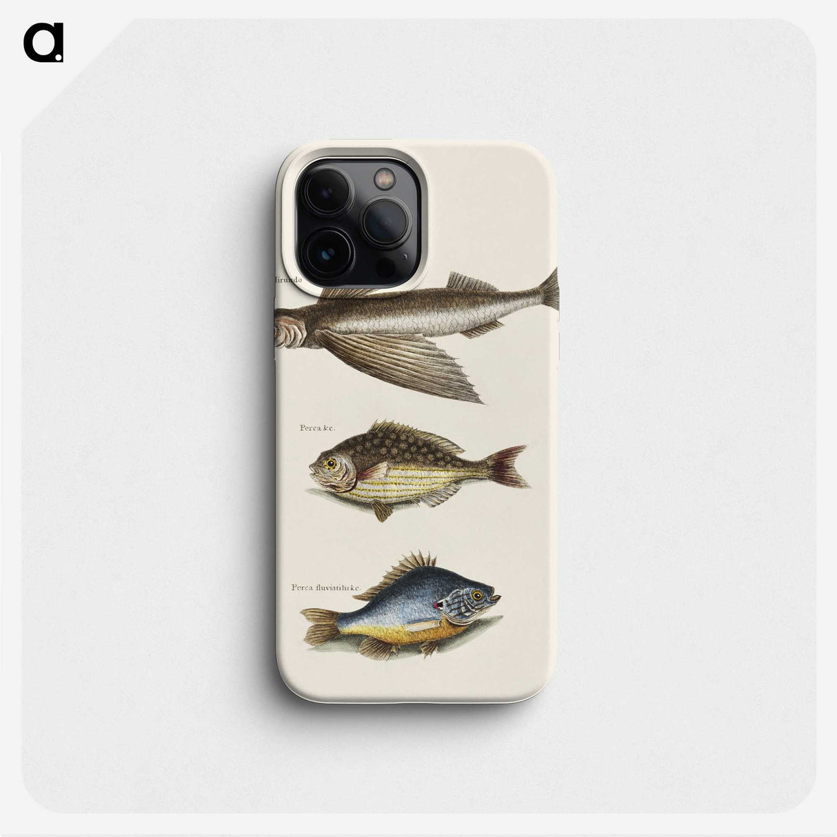 2-62_Mark-Catesby_phone