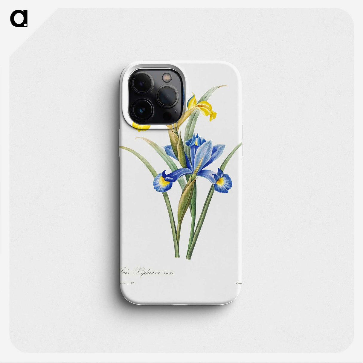2-62_Pierre-Joseph-Redoute_phone