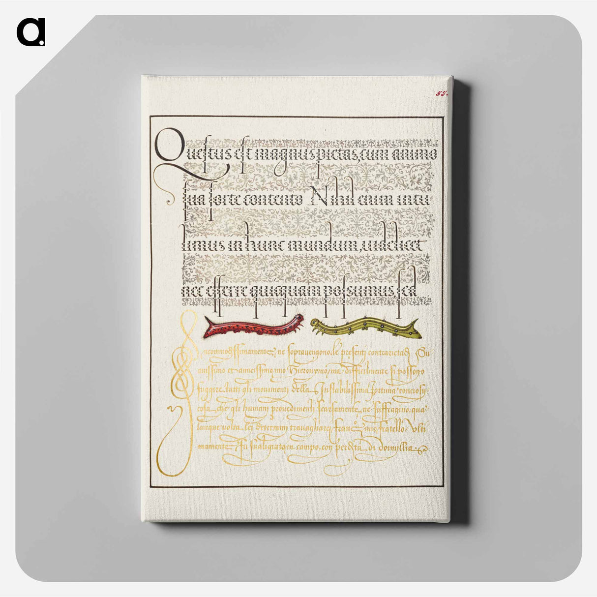 アートパネル-Caterpillars from Mira Calligraphiae Monumenta
- 書道のお手本 Canvas.