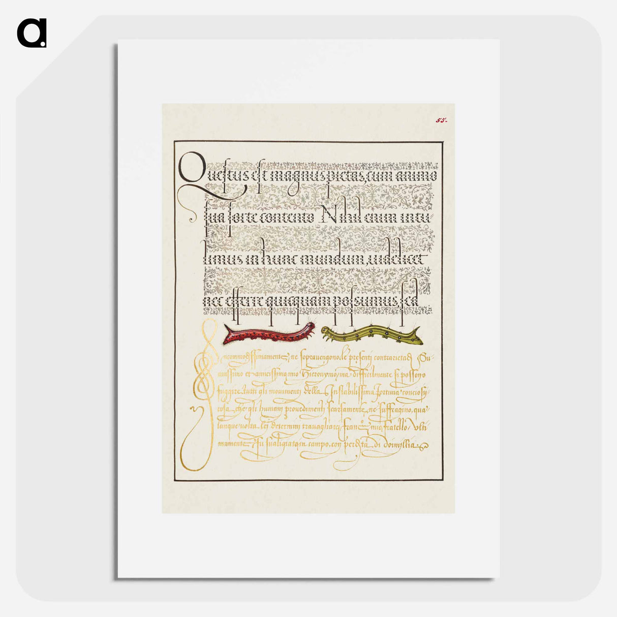 アートポスター-Caterpillars from Mira Calligraphiae Monumenta
- 書道のお手本 Poster.