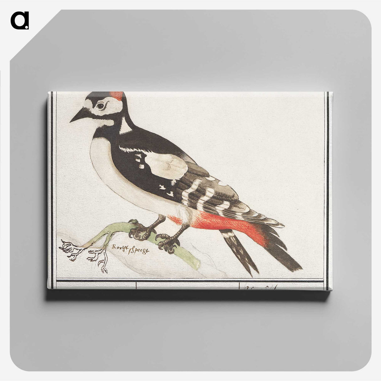 2-63_Anselmus-Boetius-de-Boodt_canvas