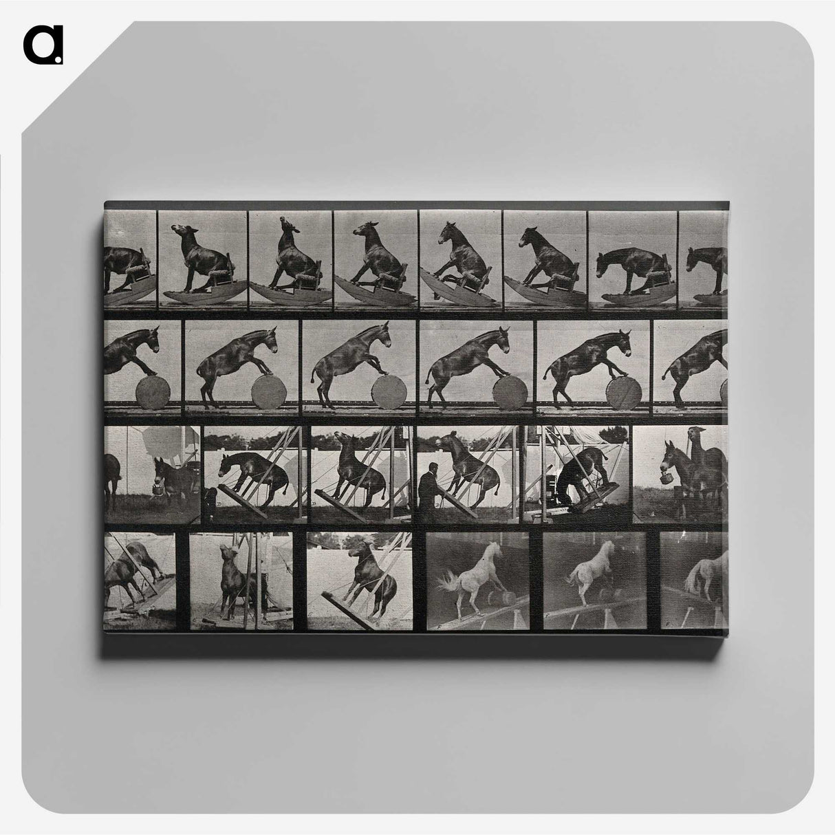 2-63_Eadweard-Muybridge_canvas