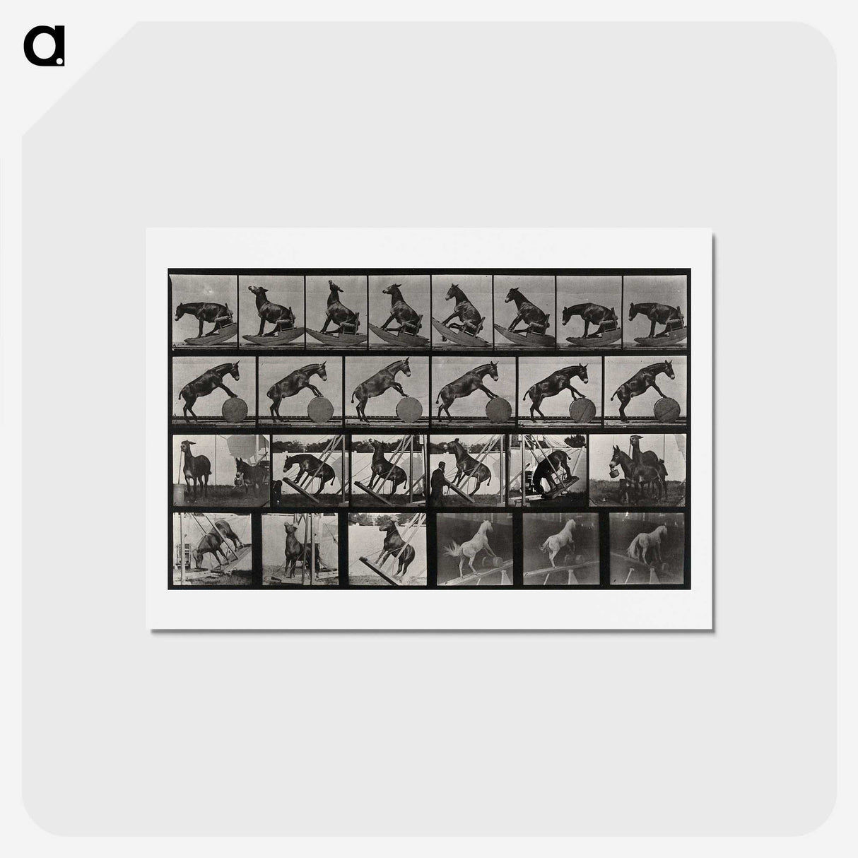 2-63_Eadweard-Muybridge_hagaki