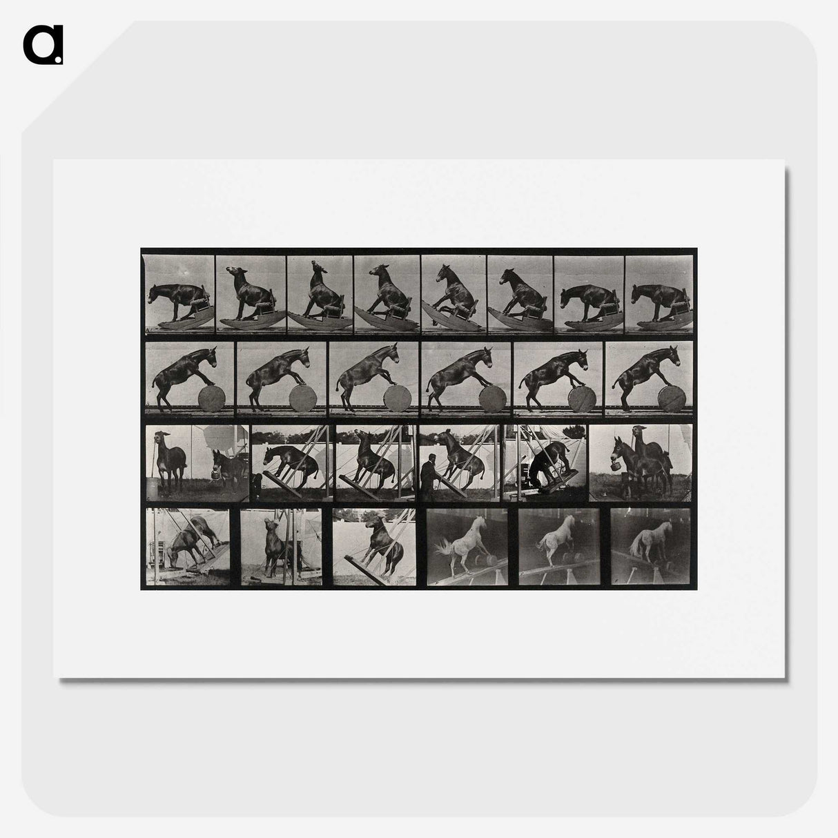 2-63_Eadweard-Muybridge_picture