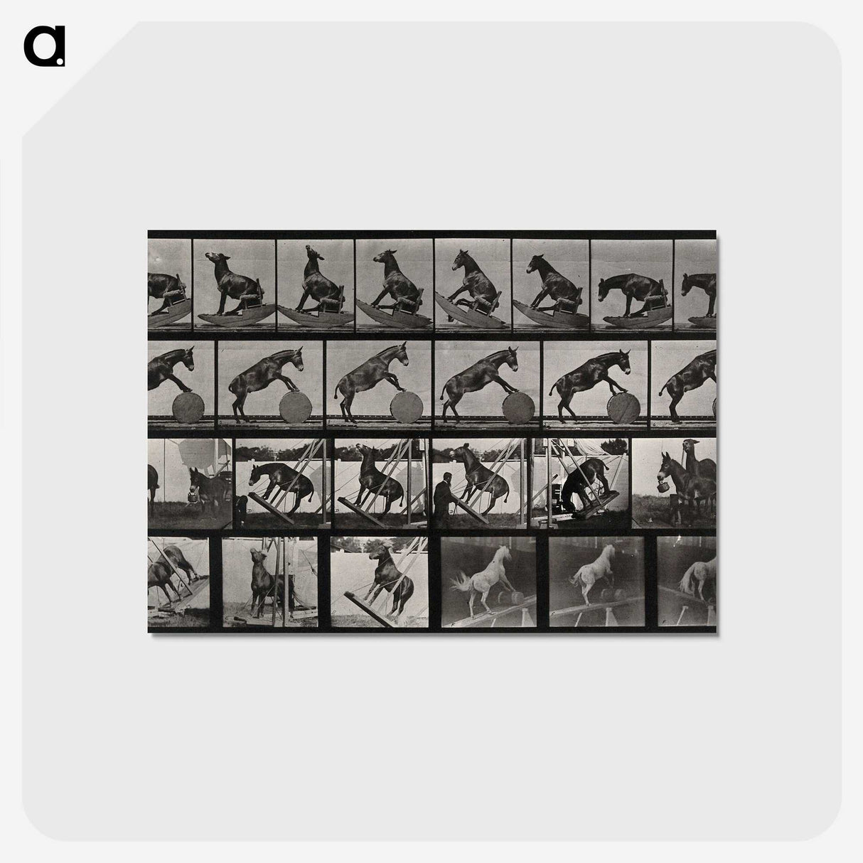 2-63_Eadweard-Muybridge_postcard