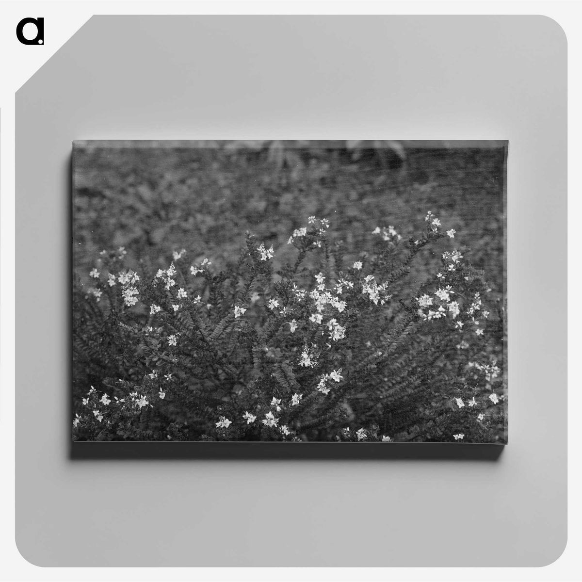 2-63_Frederick-Charles-Brockett_canvas