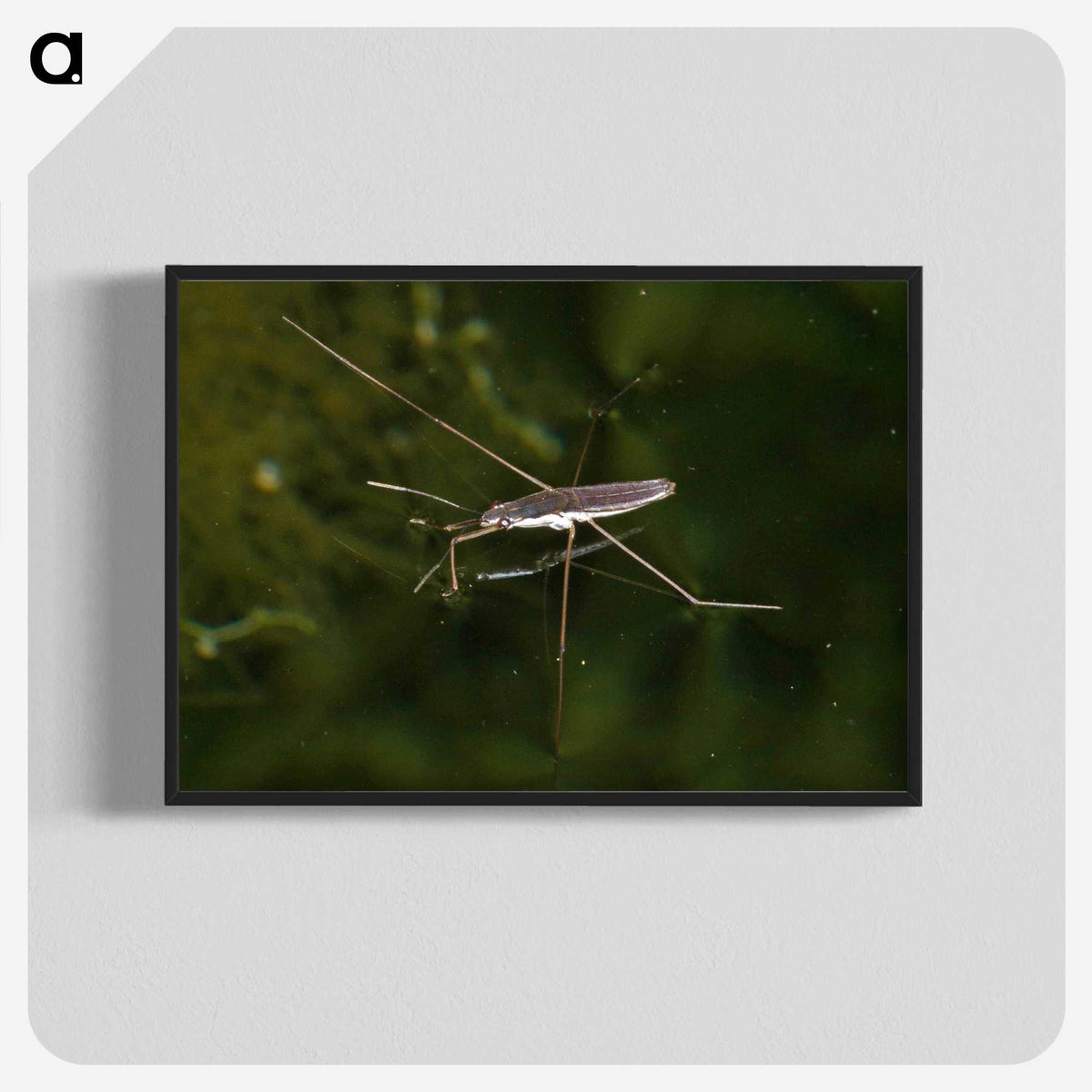 2-63_Insects-Unlocked-Project_blk-crop