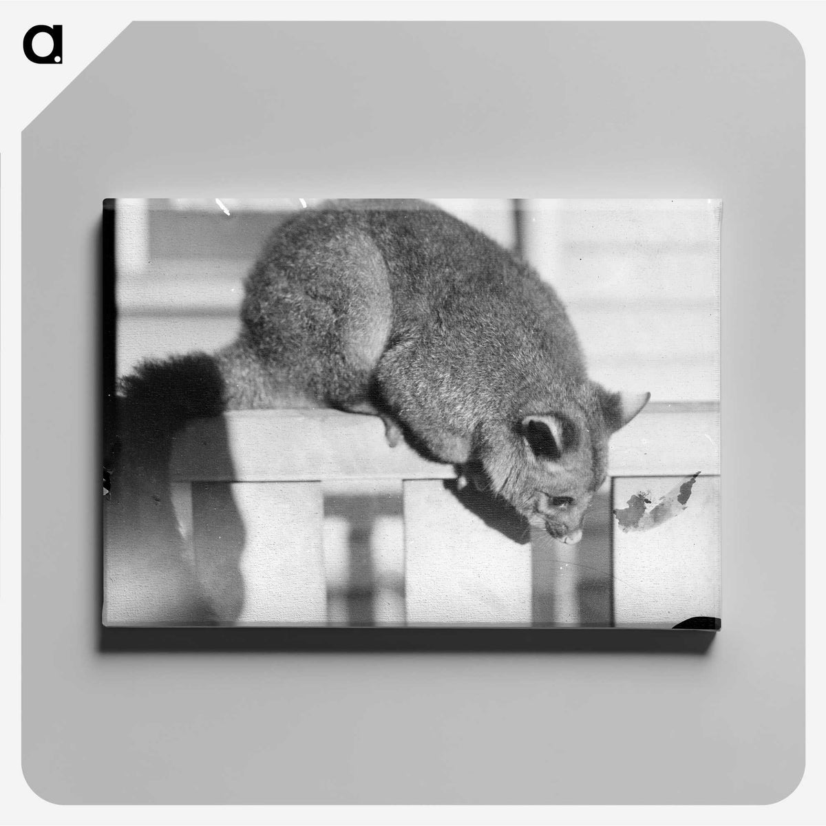 2-63_Leslie-Adkin_canvas