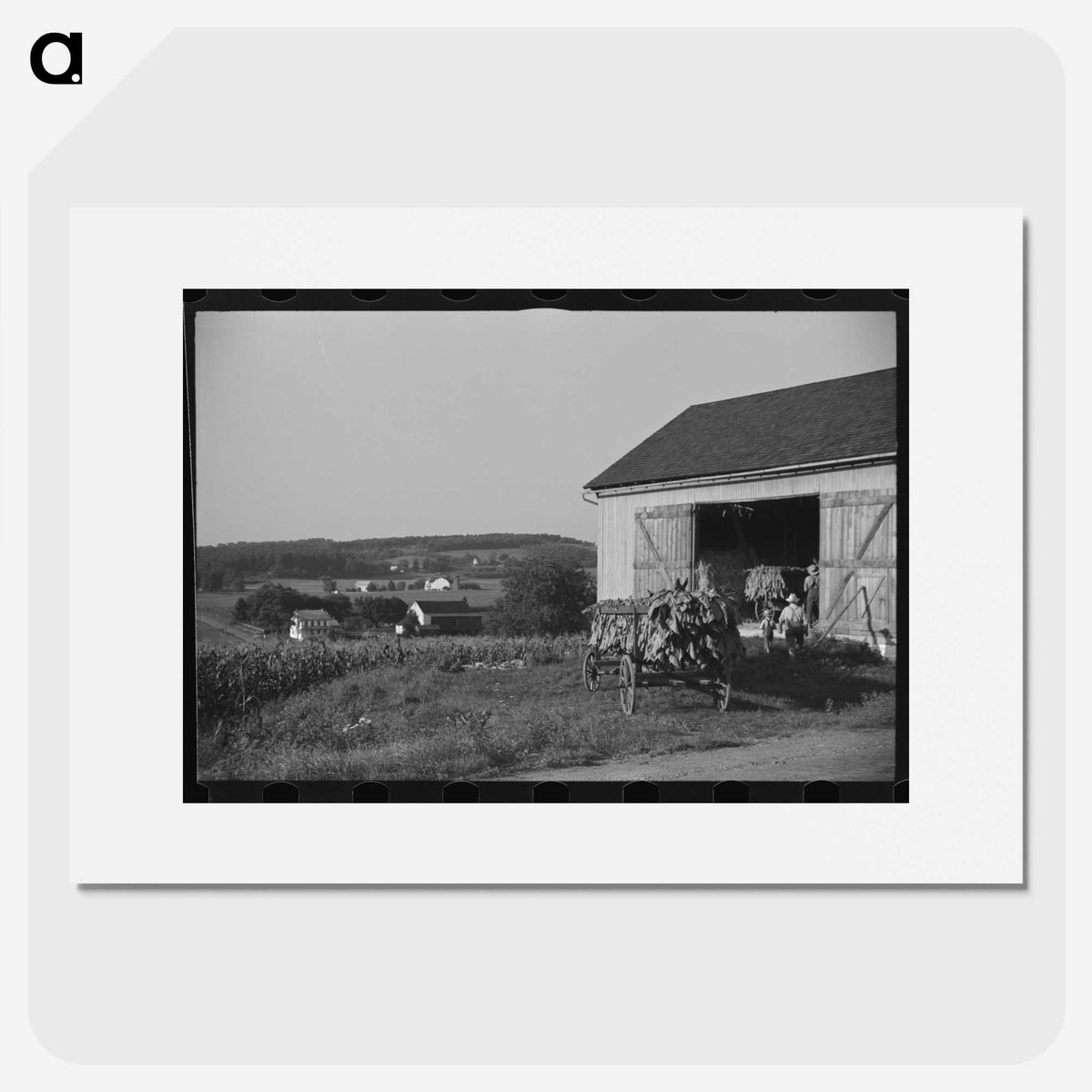2-63_Marion-Post-Wolcott_picture
